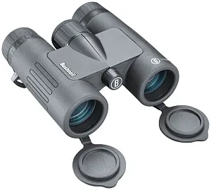 Бинокль Bushnell Prime 8x32, изображение 1