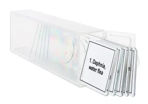 Набор микропрепаратов Levenhuk Discovery Prof DPS 5. «Жизнь в капле воды», изображение 5