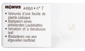 Набор микропрепаратов Konus 10: «Почва», изображение 5