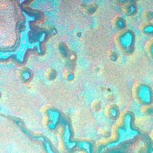 Микроскоп металлографический инвертированный MAGUS Metal V790 DIC, изображение 20