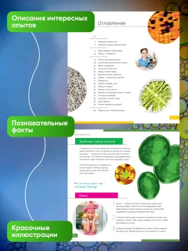 Книга знаний «Невидимый мир», изображение 9