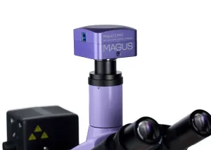 Микроскоп люминесцентный цифровой MAGUS Lum D400, изображение 23