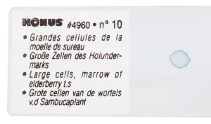 Набор микропрепаратов Konus 10: «Естественные науки», изображение 3