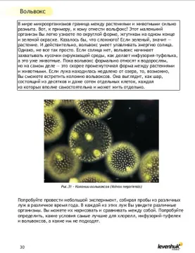 Набор для опытов с микроскопом Levenhuk K50, изображение 10
