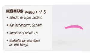 Набор микропрепаратов Konus 10: «Естественные науки», изображение 5