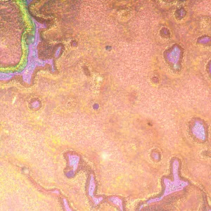 Микроскоп металлографический инвертированный MAGUS Metal V790 DIC, изображение 22