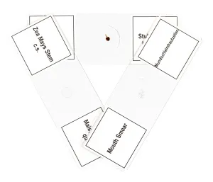 Набор микропрепаратов Bresser 10 шт., в кейсе, изображение 5