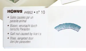 Набор микропрепаратов Konus 10: «Животные и растения. Мутации», изображение 3