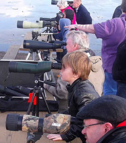 Сравнение популярных моделей зрительных труб: обзор рынка Сравнение популярных моделей зрительных труб: обзор рынка